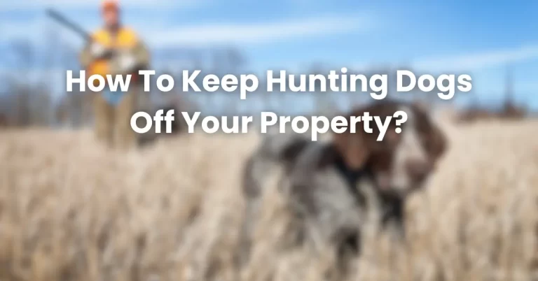 How To Keep Hunting Dogs Off Your Property?